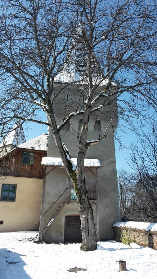 Casa Marcus