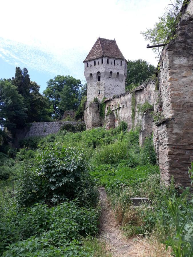 Casa Marcus *